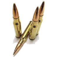 308-Winchester-ammo